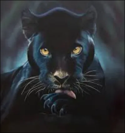 Si tu veux la panthère, doit-il y avoir un reflet lion (désolé, je spoile un peu, mais au moins ça correspondra vraiment à tes goûts.)