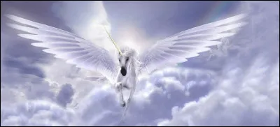 La licorne doit-elle voler dans les airs ?