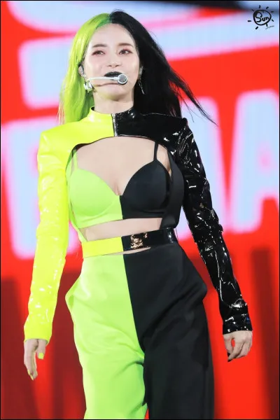 Qui est cette idole que tout le monde connaît ?