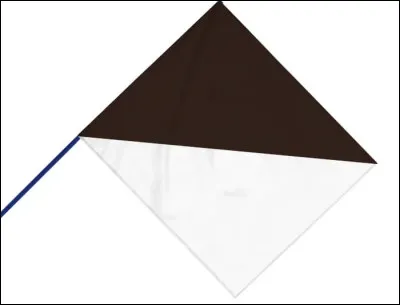 En F1 (course automobile), que signifie de drapeau noir et blanc ?