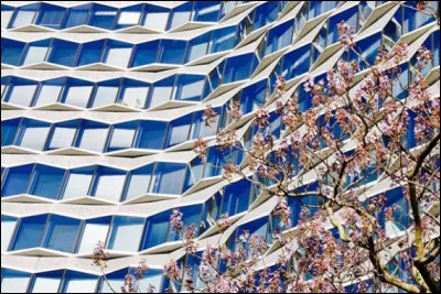 Politique et institutions : Que signifie la lettre S du sigle CSA ?