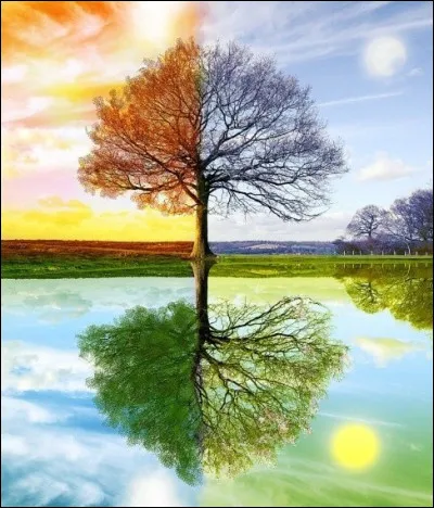 Quelle est ta saison pr&eacute;f&eacute;r&eacute;e de l'ann&eacute;e  ?