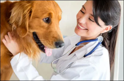 Tu aides un v&eacute;t&eacute;rinaire et il te supplie de v&eacute;rifier au moins une esp&egrave;ce pour lui. Tu choisis laquelle  ?