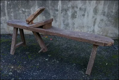 Quel animal met Gilles Lapouge avec l'abeille, dans son livre de 2014 ?