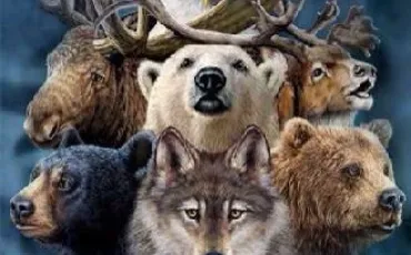 Quiz Animaux