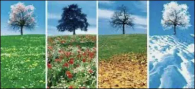 Quelle saison préfères-tu ?