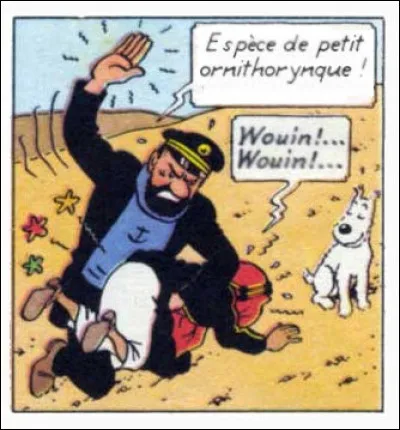 Ici, on ne peut être plus clair, non ?