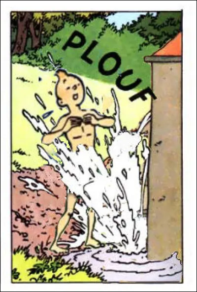 Complétez le titre de cette chanson "coquine" : "Dans l'eau..."