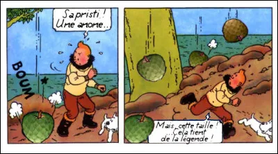 Parfois, il suffit de prendre tout au pied de la lettre... quand ce n'est pas au pied de l'arbre ! Ça vous dit quelque chose ?