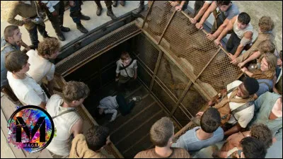 Dans "Le Labyrinthe", qui est celui qui est resté le plus longtemps (qui est arrivé le premier dans le Labyrinthe) ?