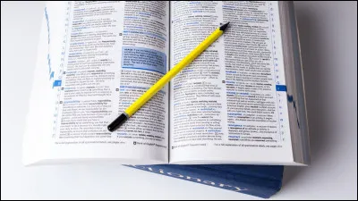 Lequel de ces mots ne peut-on pas associer à celui de ''bêtise'' ?