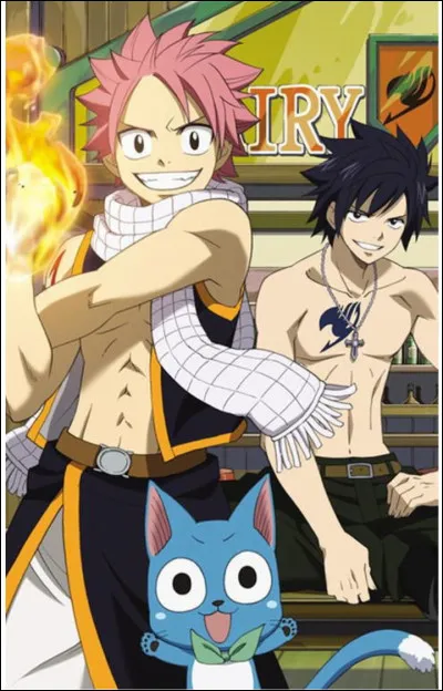 Quelle est la relation entre Natsu et Grey ?
