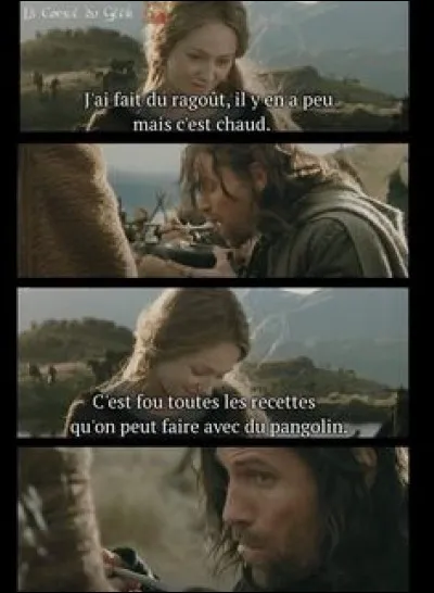 Vers quelle destination Aragorn et Eowyn se dirigent-ils, en compagnie du peuple du Rohan ?