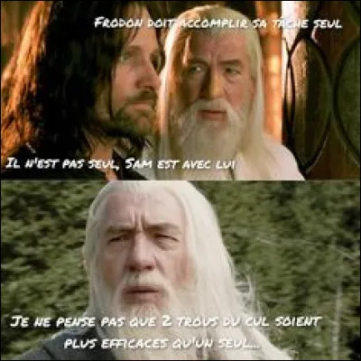 Et on retrouve Aragorn et... Gandalf ! Mais il n'était pas censé être mort, lui ? Qui a-t-il combattu en manquant d'y laisser la vie ?