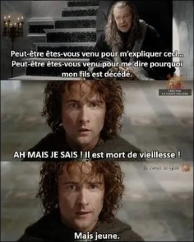 On fait maintenant un bond dans le temps pour nous diriger vers "Le Retour du Roi". Pourquoi Pippin se tient-il devant l'intendant du Gondor au lieu d'être au Rohan avec ses amis ?