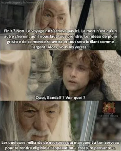Quel est le nom complet de Pippin, que Gandalf emploie souvent pour le réprimander ?