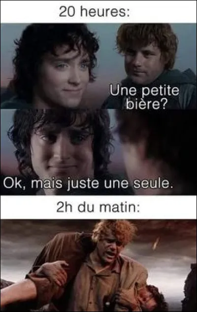 Qui accompagne Frodon et Sam pendant un long moment lors de leur périple ?