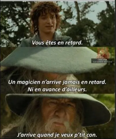 Quand Gandalf arrive dans la Comté, il croise Frodon, notre héros. Qu'est-il arrivé aux deux parents du hobbit ?
