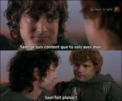 En plus d'être son fidèle compagnon au cours de son périple, qui est Sam pour Frodon ?