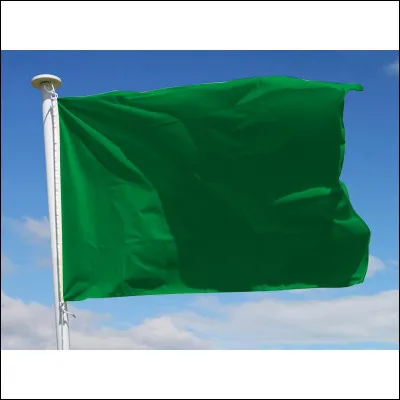 Ce drapeau vert indique...