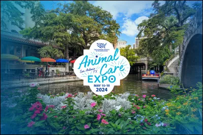 Si tu devais faire un expos&eacute;, sur quoi le ferais-tu ?