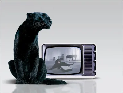 Quelle marque utilise la panthère noire dans ses publicités ?