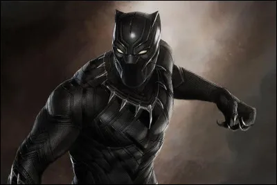 Quelle est la véritable identité du super-héros Marvel "Black Panther" ?