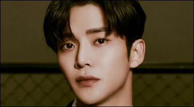 Rowoon (de SF9) a avoué qu'il l'aimait beaucoup et qu'il était timide devant sa beauté. Mais de qui parle-t-il ?