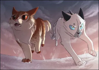 Qui a été son premier chaton ?