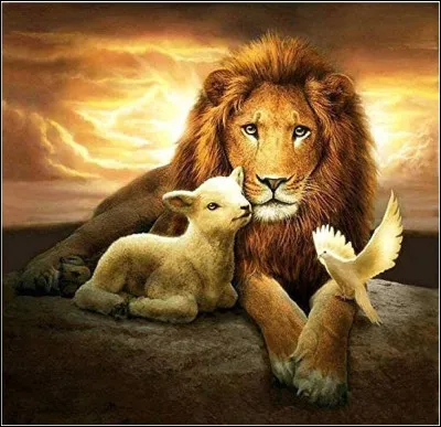 Quel animal préfères-tu ?