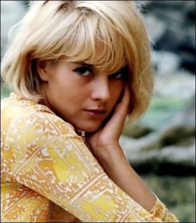 Qui a écrit les paroles de la chanson "La plus belle pour aller danser" chantée par Sylvie Vartan ?