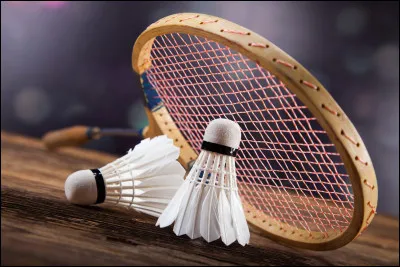 Quel est le nombre maximum de sets lors d'une partie de badminton ?