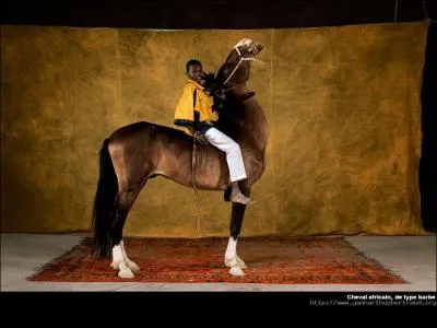 De quel pays est originaire la monte en corde ?