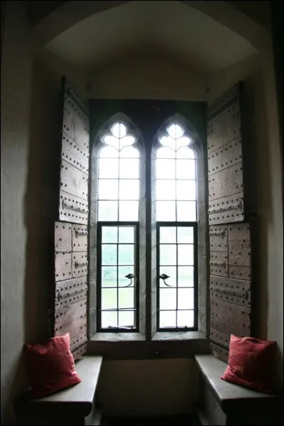 Pourquoi est connue Thérèse Peltier ?