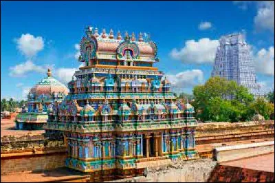 Culture et société : Quel animal est sacré en Inde ?