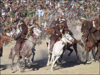 Sports et loisirs : Quelle carcasse d'animal sert au sport national, le bouzkachi, traditionnellement pratiqué par les nomades d'Asie centrale ?