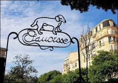 Politique et société : De quelle race était le chien Saucisse, qui a été candidat aux élections municipales de Marseille ?