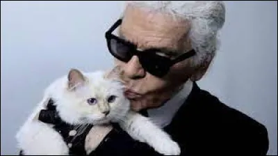 Médias et divertissement : De quelle race est Choupette, la chatte de Karl Lagerfeld ?
