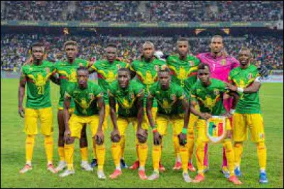 Sports et loisirs : Quel surnom d'animal porte l'équipe nationale de football du Mali ?