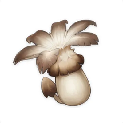 Comment dit-on "champignon" en anglais ?