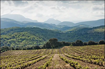Et enfin, quel pays préfères-tu parmi ceux-là ?