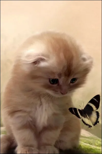 Se dispute-t-elle souvent avec sa soeur ?