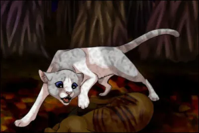 Quelles sont ses premières impressions dans ce lieu ?