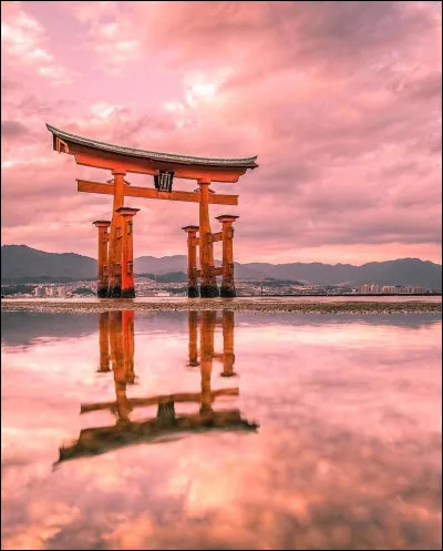 Le prénom Kenji est porté par :