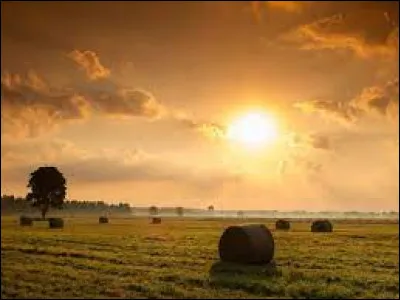 Quelle actrice est à l'affiche du film "Un jour sans fin" ?