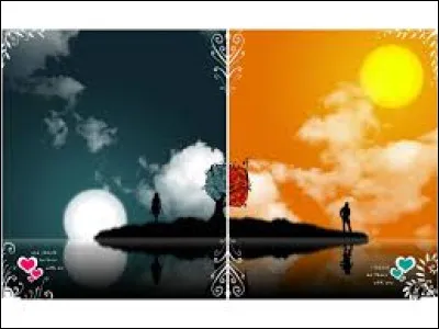 Qui a écrit le roman "Mes nuits sont plus belles que vos jours" ?