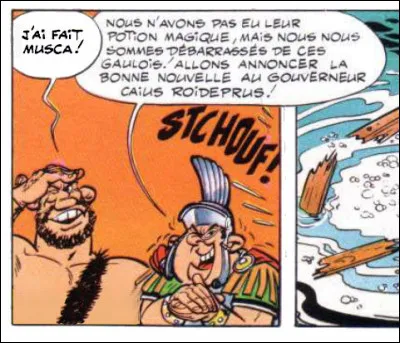 Tout cela est fort beau... Mais le mot vernaculaire de "moustique", lui, quel en est la provenance ?