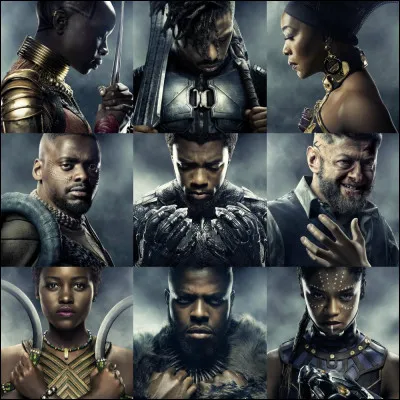 Quel personnage n'est pas né au Wakanda ?