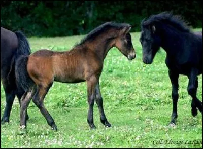 Tu es plut&ocirc;t...