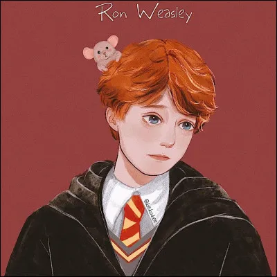 Que lui lègue Dumbledore dans son testament ?